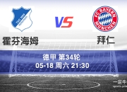 开云体育官方网站-马尔科姆建功，霍芬海姆大胜勒沃库森的简单介绍