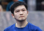 开云体育入口-波兰队绝杀德国队，樊振东刷新纪录