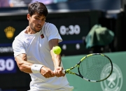 开云官方app入口-戴维斯杯横扫ATP总决赛，阿尔卡拉斯状态火热的简单介绍