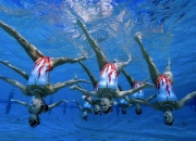 开云体育登录-赛道与球场的双重奏，锡安接管F1揭幕战，深圳队险胜公牛