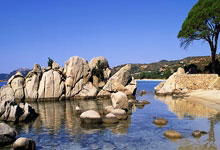 开云平台-阿斯顿马丁力克雷诺车队，维斯塔潘带队取胜的简单介绍