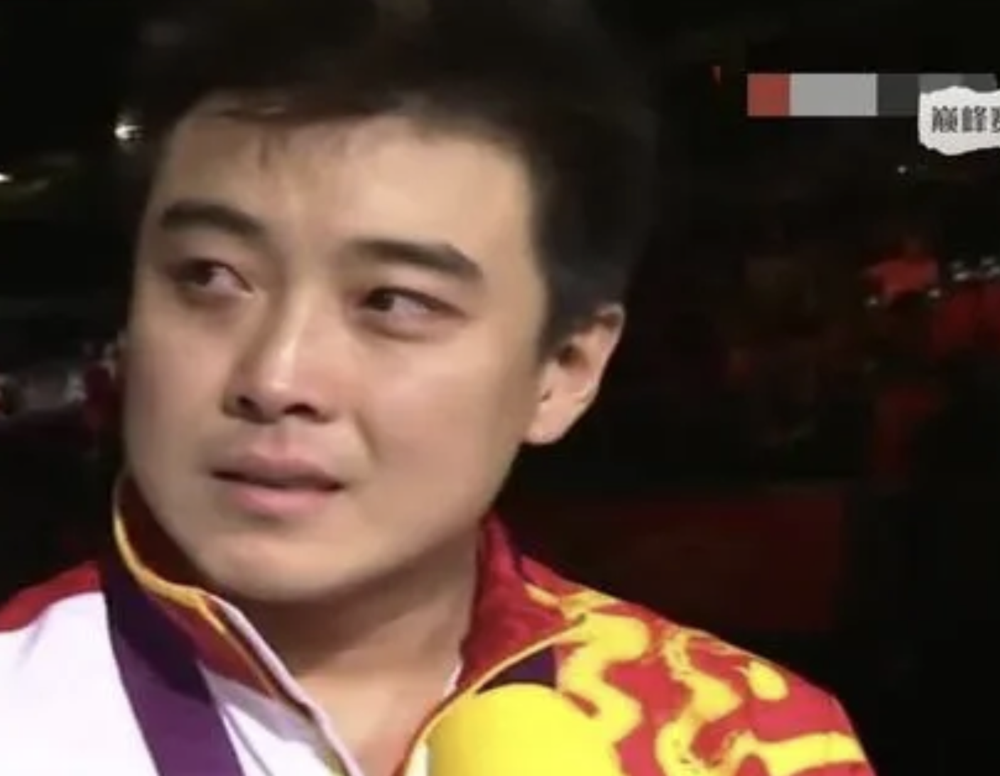 德国乒乓球队逆转中国乒乓球队,王皓惊艳世界的简单介绍 德国乒乓球队逆转中国乒乓球队,王皓惊艳世界的简单介绍