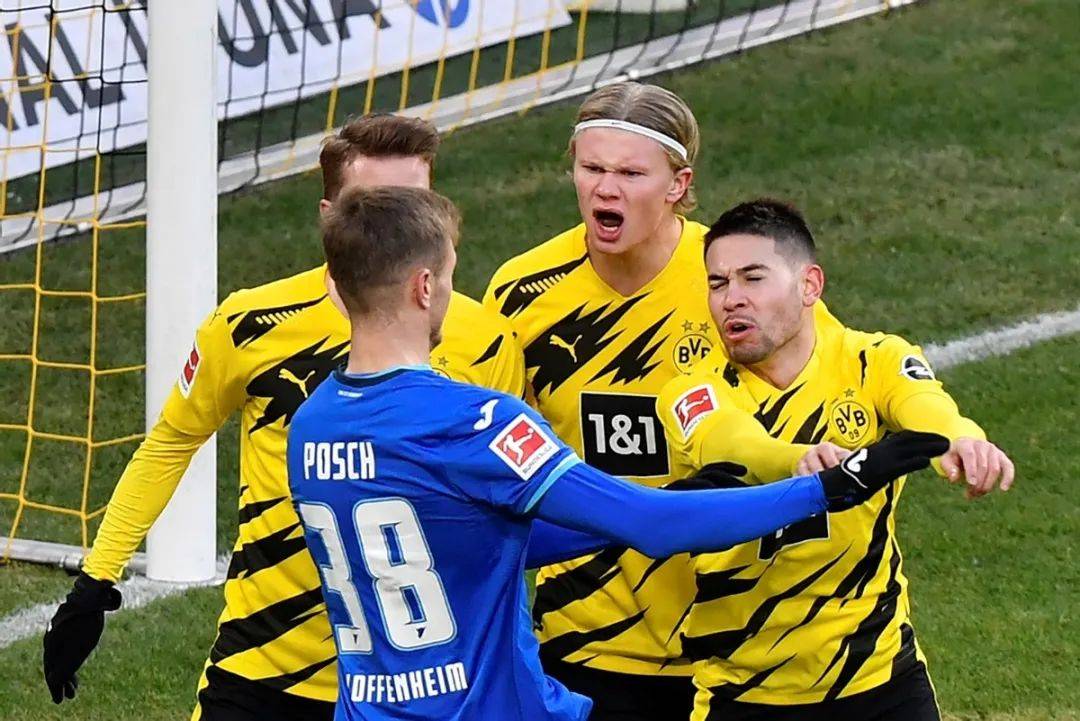 霍芬海姆士气高涨,将力争德甲保级成功的简单介绍 霍芬海姆士气高涨,将力争德甲保级成功的简单介绍