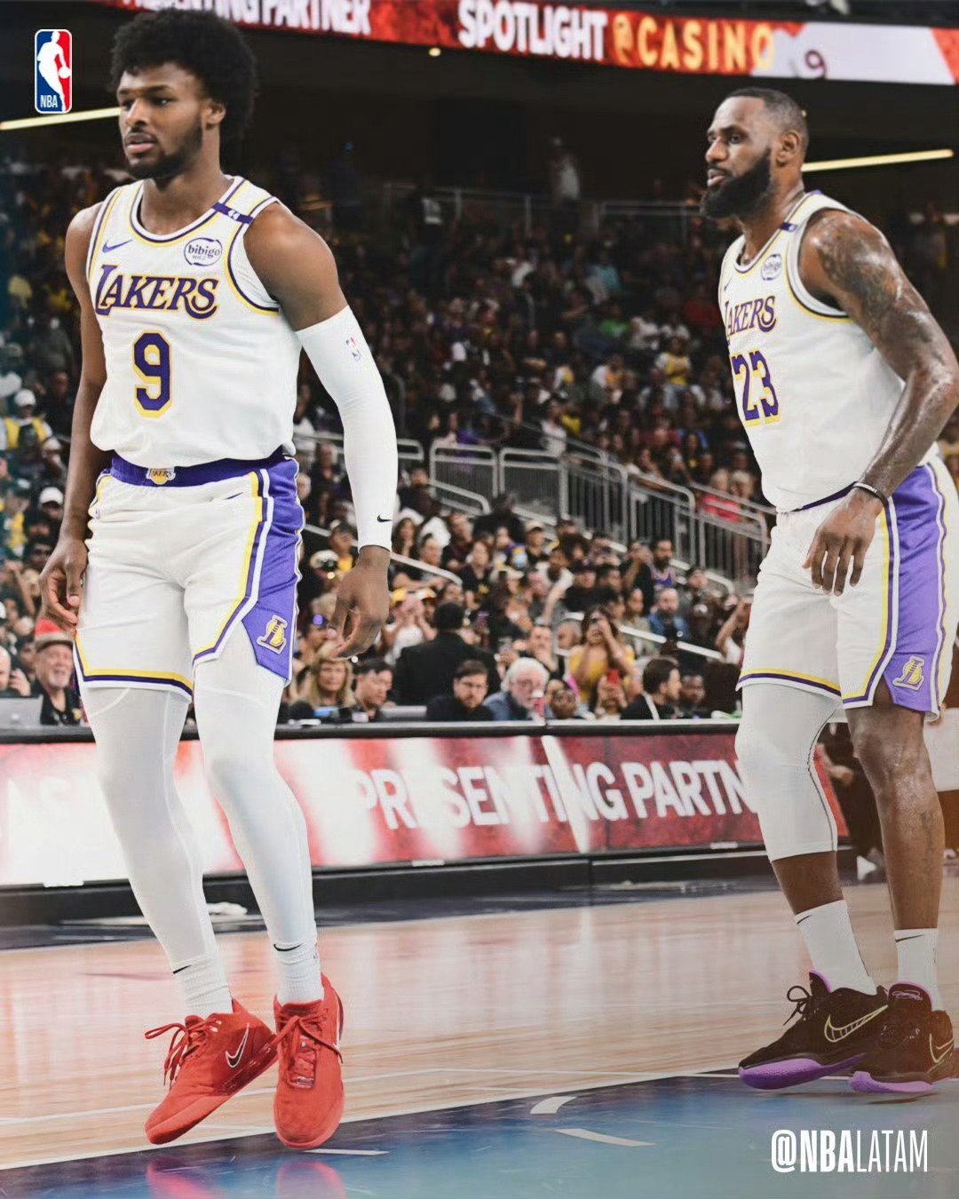 湖人力克凯尔特人,詹姆斯高光表现 湖人力克凯尔特人,詹姆斯高光表现