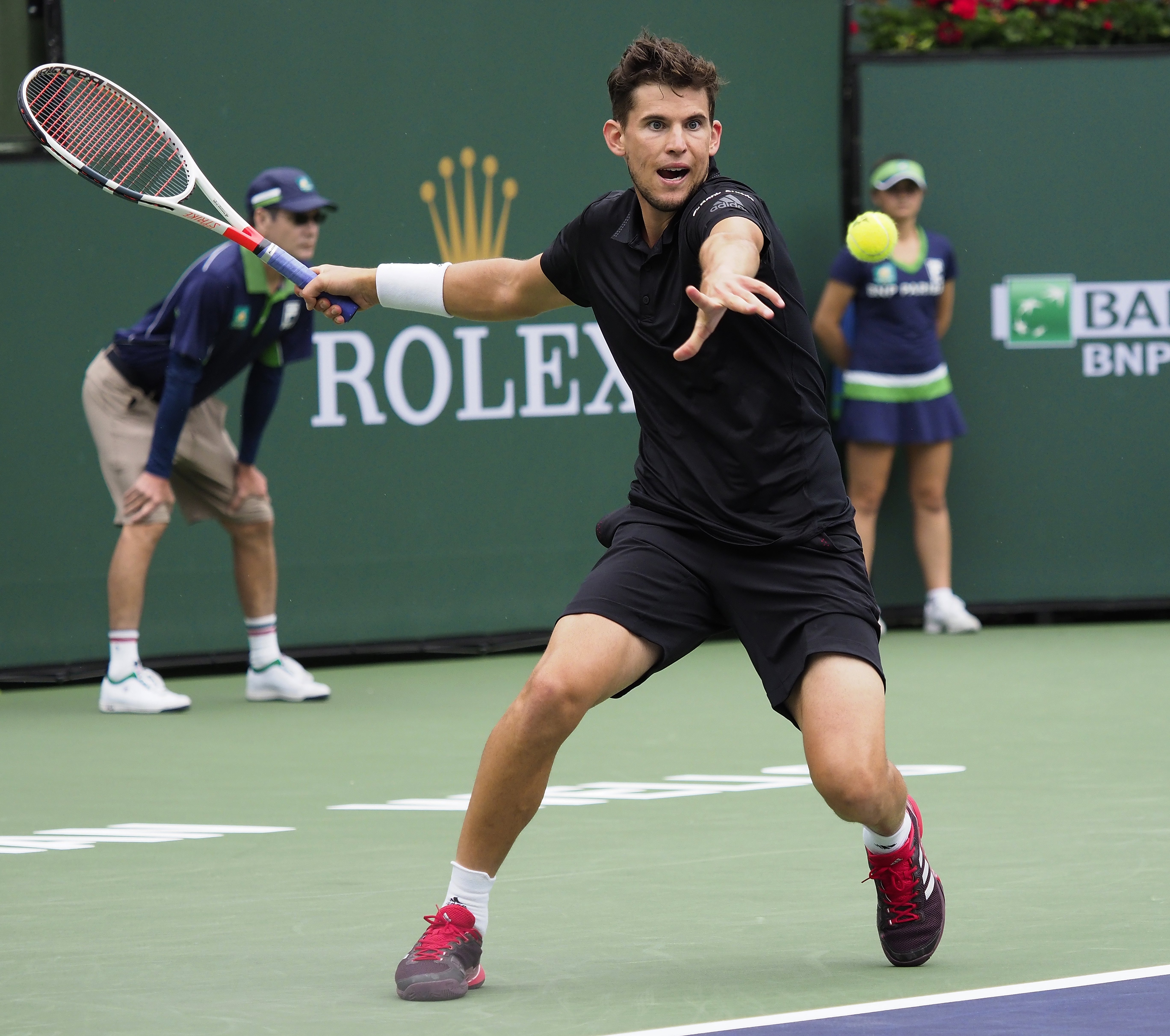 关于美网完胜戴维斯杯,蒂姆刷新纪录的信息 关于美网完胜戴维斯杯,蒂姆刷新纪录的信息