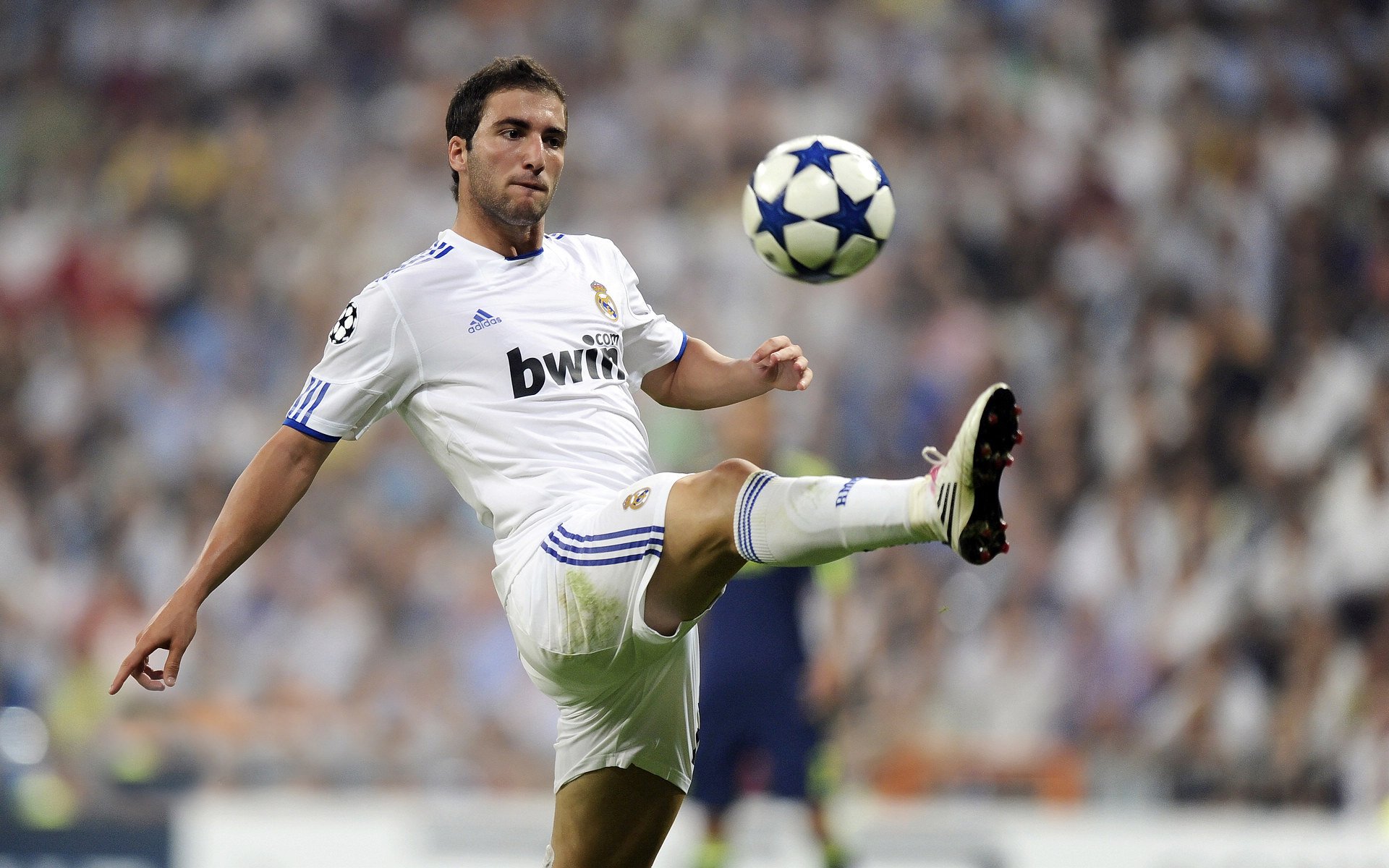 穆勒的统治之夜，当F1揭幕战悬念在起跑线前就已终结