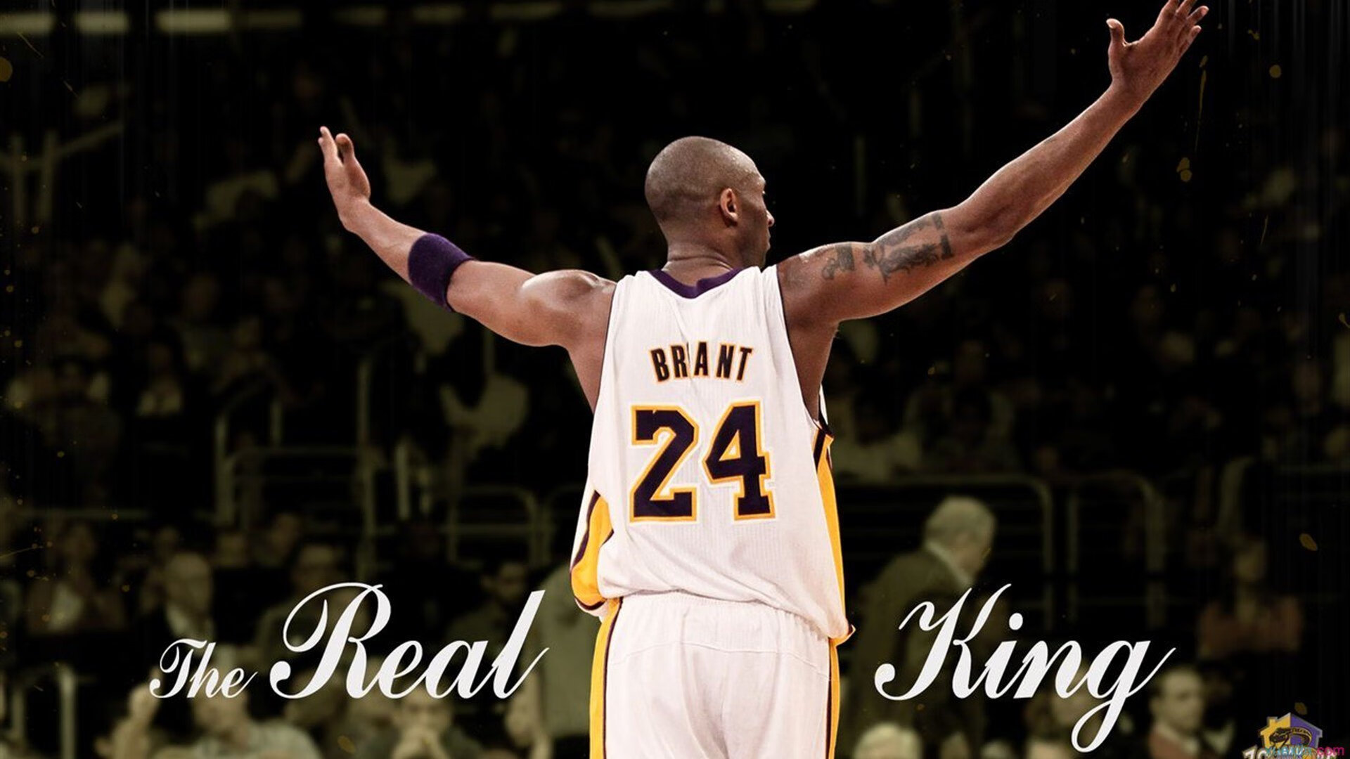 孤胆与绝境，塞恩斯扛旗之夜，索伯如何用唯一战术扼杀红牛二队